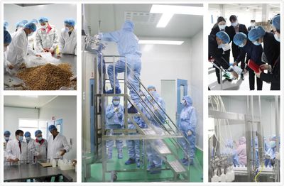 維爾利集團(tuán)正式開啟智慧工廠“智能智造”新時代！